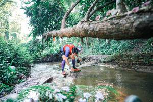 BIB: 
                            <button type="button" onclick="openModal(25434397)" class="btn btn-primary btn-sm float-right btn-popup" data-toggle="modal" data-target=".modal-high-quality">
                        <i class="fas fa-shopping-cart"></i> Add to Cart
                    </button>
                                            <button type="button" onclick="isThisMe(25434397, true)" class="btn btn-success btn-sm float-right btn-popup btn-isme hidden" data-toggle="tooltip" data-placement="bottom" title="นี่คือรูปของคุณใช่ไหม คลิกที่นี่เพื่อเอาเข้าอัลบั้ม">
                        <i class="fas fa-plus"></i> Add to album
                    </button>
                    <button type="button" onclick="isThisMe(25434397, false)" class="btn btn-warning btn-sm float-right btn-popup btn-isnotme hidden">
                        <i class="fas fa-ban"></i> Remove from album
                    </button>